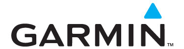 Garmin Logo